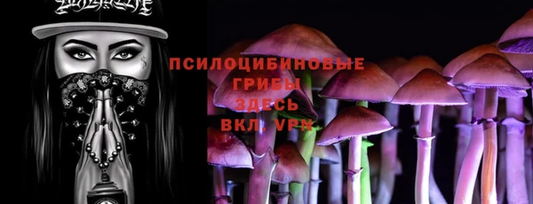 гидра Лихославль