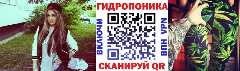 магазин продажи   Шилка  Каннабис Amnesia 
